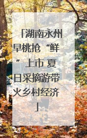 湖南永州早桃抢“鲜”上市 夏日采摘游带火乡村经济